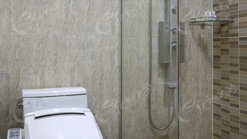 蹲便器与马桶：如何选择更适合自己的卫浴洁具